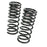 RS-R 01-06 Lexus LS430 Super Down Springs