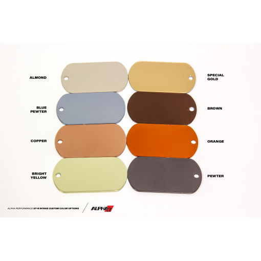 AMS Alpha Performance R35 GT-R Intake Manifold With Cast Aluminum Plenums