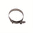 Torque Solution T-Bolt Hose Clamp: 1.75" Universal