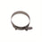 Torque Solution T-Bolt Hose Clamp: 5" Universal
