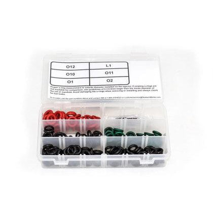 DeatschWerks Modern Muscle Injector O-Ring Kit (205 Pieces)