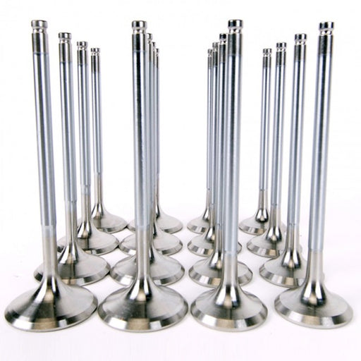 Skunk2 Alpha Valves - Hi Comp K Series - 35mm/ 30mm-Valves-Speed Science