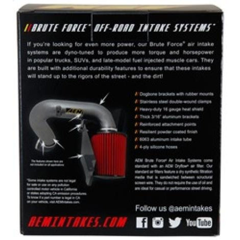 AEM 2.75 inch x 5 inch DryFlow Air Filter