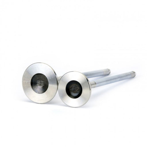 Skunk2 Alpha Valves - Standard Comp D-Series VTEC - 30mm/ 26mm-Valves-Speed Science