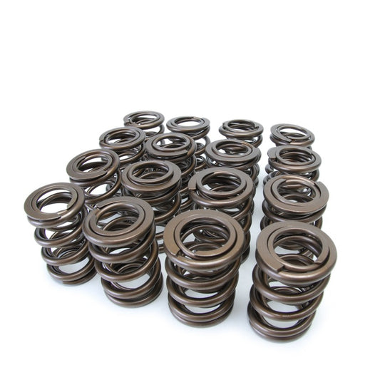 Skunk2 Alpha Valve Spring Set - H22/F20B-Valve Springs-Speed Science