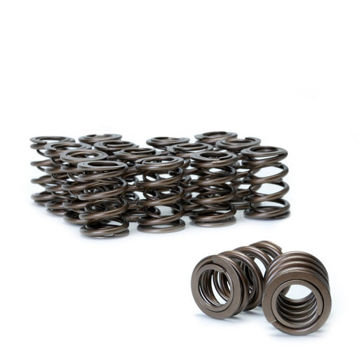 Skunk2 Pro XP Valve Springs - B Series-Valve Springs-Speed Science