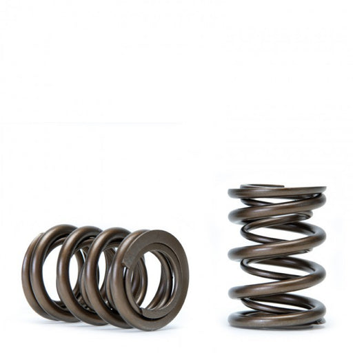 Skunk2 Alpha Valve Spring Set - B Series VTEC-Valve Springs-Speed Science