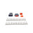 AEM DTM-Style 12-Way Connector Kit