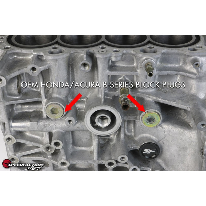 SpeedFactory Racing Billet M28 to -10AN Adapter Fitting