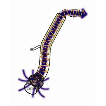 AEM 99-00 Honda Civic Si M/T Only Silver V2 Intake