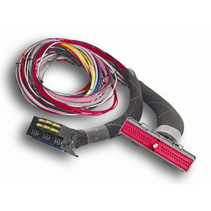AEM 150 PSIg Stainless Sensor Kit Speed Science aem-150-psig-stainless-sensor-kit-speed-science