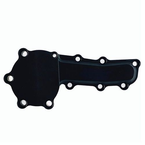Yelsha-D, RB20, RB25, RB26 Water Pump Blanking Plate