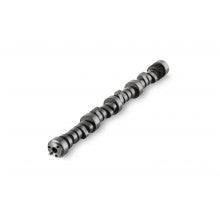 Kelford Cams SX106-264HR SBC (OEM) Hyd Roller 264 STG2