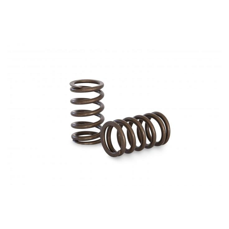 Kelford Cams KVS20 NISSAN RB20 Race Spring Set