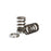 Kelford Cams KVS30 Subaru EZ30 Spring Kit
