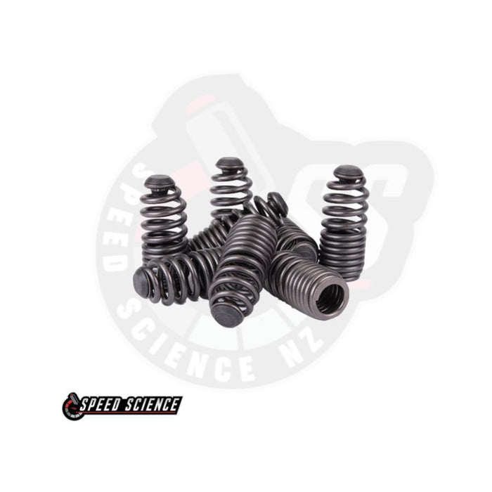 Skunk2 Complete Head Package - B Series Pro Stage 1-Package Deals-Speed Science