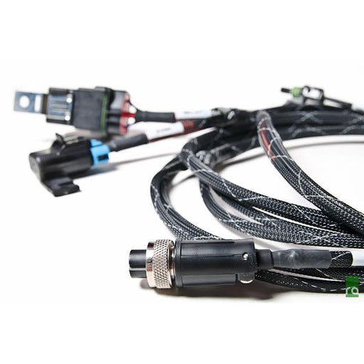 Radium FST Wiring Harness - Fully Populated